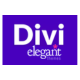 wordpress theme divi